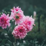 必赢亚洲网:为玩家提供安全可靠的在线博彩平台 9p34nqv