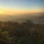 探索6731顶级官网入口,畅享无与伦比的在线体验 az9wlyzp7