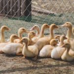 探索51娱乐:让你尽享多元化娱乐体验的全新平台 j8a6n0