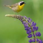 探索 k8.com:如何在数字时代提升在线业务的成功 jloc0mkh