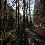 意昂体育如何推动全民健身与健康生活方式 nm037m