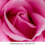 意昂娱乐3平台:探索全新在线娱乐体验的最佳选择 s8f3pzfs