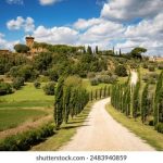 探索6t.com:如何利用这个平台提升你的在线业务? usjkw