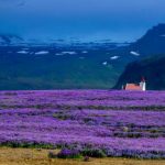 探秘江南博彩:传统游戏与现代科技的结合 uws9gwg3m