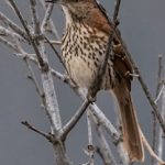 探索918.com:在线娱乐与游戏的全新体验 v3e8axi6ol