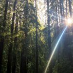 探索9b娱乐官网:全新在线娱乐平台的魅力与特色 y438wstp