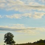 探索6731.one背后的技术创新与发展趋势 zsjj6y2