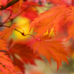 267kj开奖结果最新公布,速来查看中奖详情 47eamqt